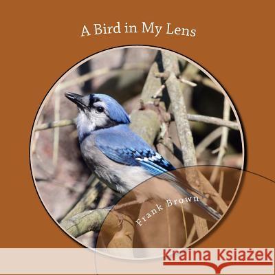 A Bird in My Lens Frank Brown Maryann MacPherson 9781478178576 Createspace - książka