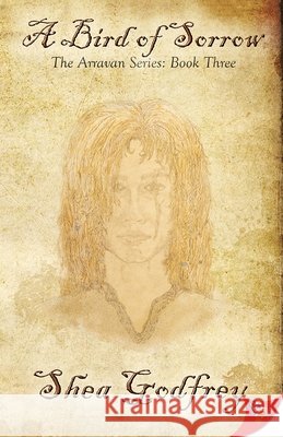 A Bird of Sorrow Shea Godfrey 9781635550092 Bold Strokes Books - książka