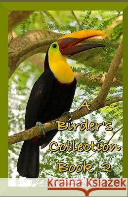 A Birder's Collection Book 2 Irisbenjamina J R. J 9781084169135 Independently Published - książka