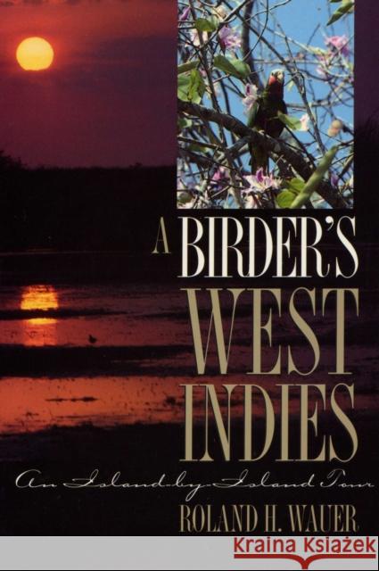 A Birder's West Indies: An Island-By-Island Tour Wauer, Roland H. 9780292791015 University of Texas Press - książka