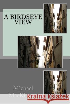 A Birdseye View Michael MacKinnon 9781727739121 Createspace Independent Publishing Platform - książka