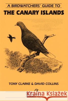 A Birdwatchers' Guide to the Canary Islands: Site Guide Collins, David 9781871104066 PRION LTD - książka