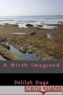 A Birth Imagined Delilah Dugo 9781542729277 Createspace Independent Publishing Platform - książka