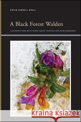 A Black Forest Walden Krell, David Farrell 9781438488493 State University of New York Press - książka