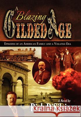 A Blazing Gilded Age Rich Disilvio 9780981762562 DV Books - książka
