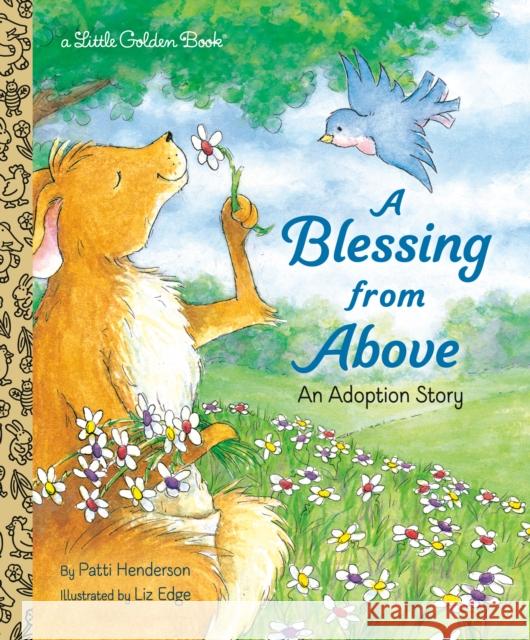 A Blessing from Above: An Adoption Story Elizabeth Edge 9780375828669 Random House USA Inc - książka