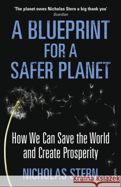 A Blueprint for a Safer Planet : How We Can Save the World and Create Prosperity Nicholas Stern 9780099524052 VINTAGE - książka