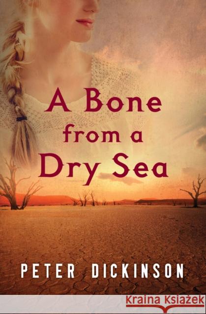 A Bone from a Dry Sea Peter Dickinson 9781504014823 Open Road Media Teen & Tween - książka