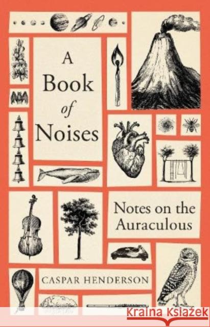 A Book of Noises: Notes on the Auraculous Caspar Henderson 9781783787067 Granta Books - książka