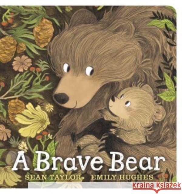 A Brave Bear Sean Taylor 9781529511864 Walker Books Ltd - książka