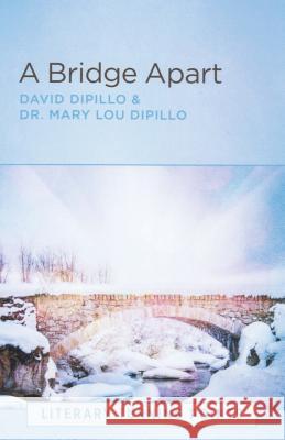 A Bridge Apart (Literary Turning Points) David Dipillo Dr Mary Lou Dipillo 9781470058432 Createspace - książka