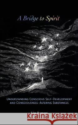 A Bridge to Spirit: Understanding Conscious Self-Development and Consciousness-Altering Substances Lisa Romero, Ella Lapointe 9780648578925 Inner Work Books - książka