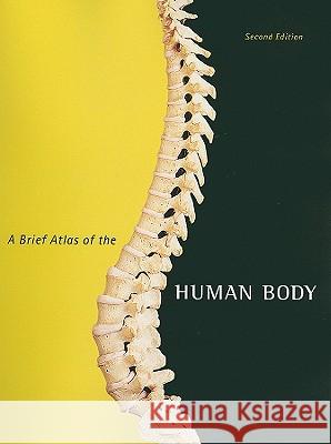 A Brief Atlas of the Human Body Elaine Nicpon Marieb Patricia Brady Wilhelm Jon Mallatt 9780321662613 Benjamin-Cummings Publishing Company - książka