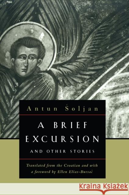 A Brief Excursion and Other Stories Antun Soljan Ellen Elias-Bursac 9780810116351 Northwestern University Press - książka