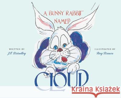 A Bunny Rabbit Named Cloud J F Brindley Ray Brown  9798822904897 Palmetto Publishing - książka