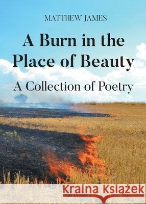 A Burn in the Place of Beauty: A Collection of Poetry James, Matthew 9798896171355 Newman Springs - książka
