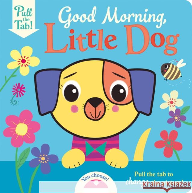 A busy day for Little Dog Holly Hall, Katie Saunders 9781789585223 Gemini Books Group Ltd - książka