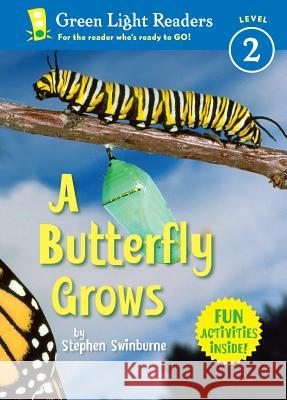 A Butterfly Grows Stephen R. Swinburne 9780152064167 Houghton Mifflin Company - książka