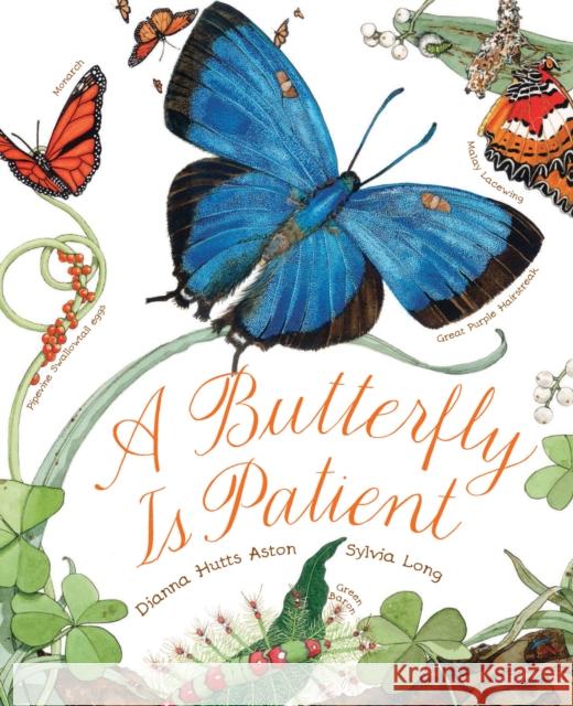 A Butterfly Is Patient Dianna Hutts Aston 9781452141244 Chronicle Books (CA) - książka