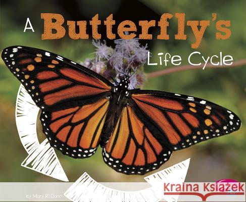 A Butterfly's Life Cycle Mary R. Dunn 9781515770596 Capstone Press - książka