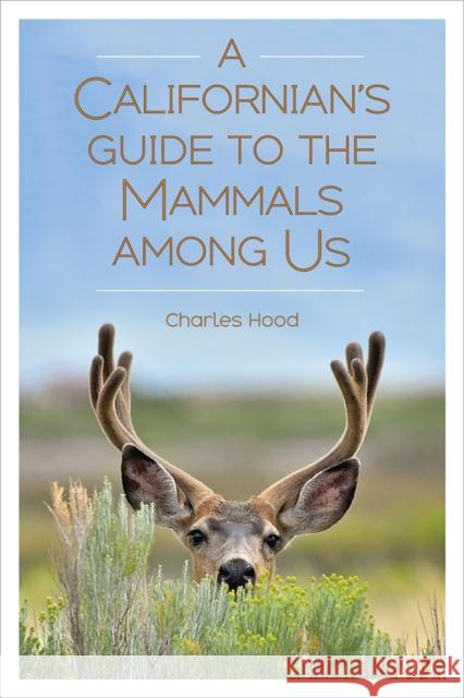 A Californian's Guide to the Mammals Among Us Charles Hood 9781597144438 Heyday Books - książka