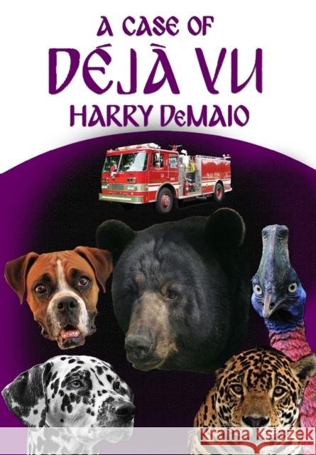 A Case of Déjà Vu (Octavius Bear Book 13) Harry Demaio 9781787056695 MX Publishing - książka