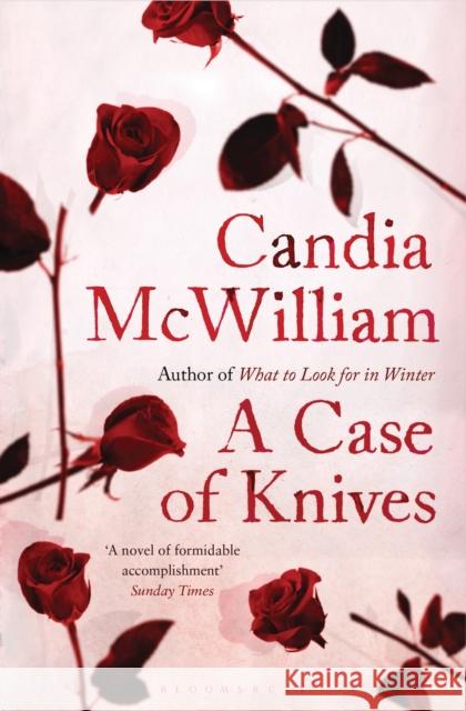 A Case of Knives : reissued Candia McWilliam 9781408822968  - książka