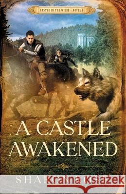 A Castle Awakened: Castle in the Wilde - Novel 1 Sharon Rose 9781948160216 Eternarose Publishing - książka