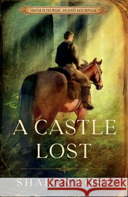 A Castle Lost: Castle in the Wilde - An Early Days Novella Sharon Rose 9781948160278 Eternarose Publishing - książka