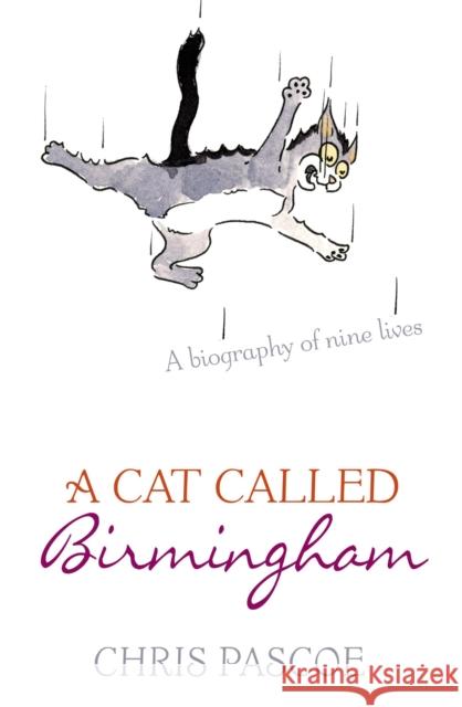 A Cat Called Birmingham Chris Pascoe 9780340836071 Hodder & Stoughton - książka