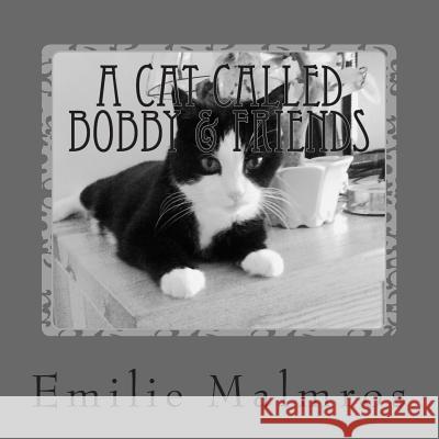 A Cat Called Bobby & Friends: He Came One Rainy Day... MS Emilie Malmros 9781493582808 Createspace - książka