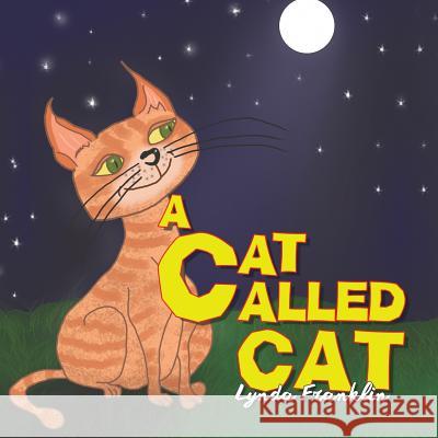 A Cat Called Cat Lynda Franklin 9781528925044 Austin Macauley Publishers - książka