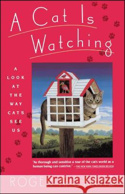 A Cat is Watching: A Look at the Way Cats See Us Roger A Caras 9780671724436 Simon & Schuster - książka