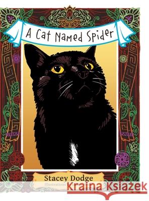 A Cat Named Spider Stacey Dodge, James Wood 9781480881327 Archway Publishing - książka