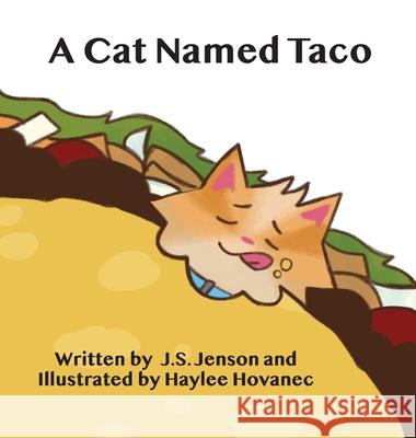 A Cat Named Taco J. S. Jenson Haylee Hovanec Casey D. Jenson 9780998273228 Byjackiejenson LLC - książka
