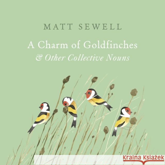 A Charm of Goldfinches and Other Collective Nouns Sewell, Matt 9781785033889  - książka