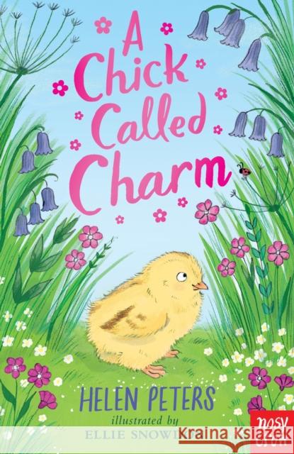A Chick Called Charm Helen Peters 9781839948763 Nosy Crow Ltd - książka