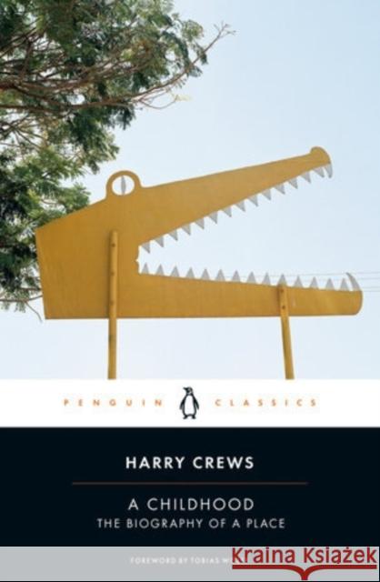 A Childhood: The Biography of a Place Harry Crews Tobias Wolff 9780143135333 Penguin Books Ltd - książka