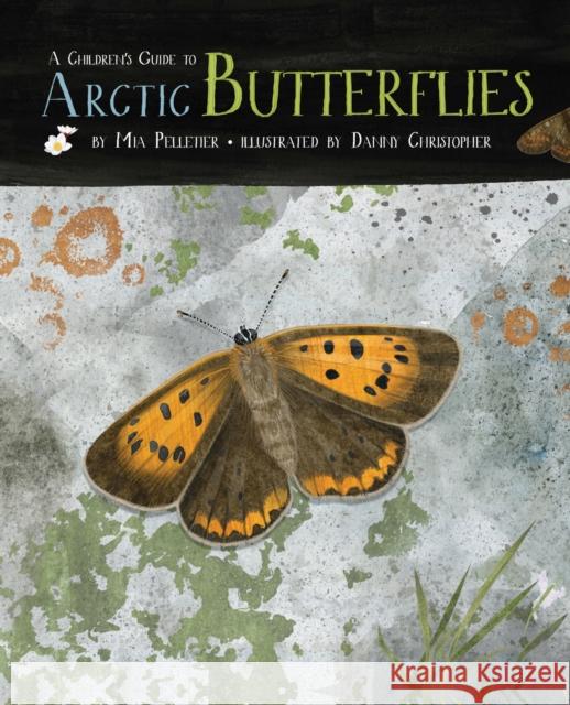 A Children's Guide to Arctic Butterflies Pelletier, Mia 9781772271775 Inhabit Media - książka