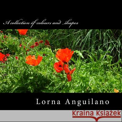 A collection of colours and shapes: Flowers from around the world Anguilano, Lorna 9781502545312 Createspace - książka