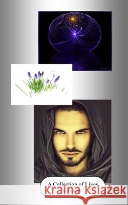 A Collection of Lives Martin Steere 9781764469005 Martin Harris - książka