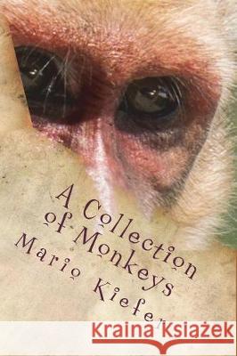 A Collection of Monkeys Mario Kiefer 9780692151853 Mario Kiefer - książka