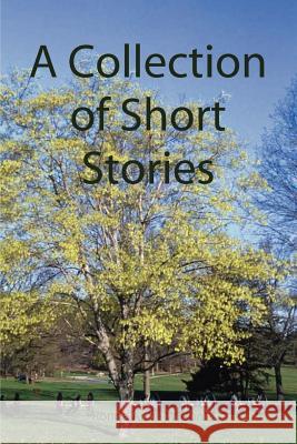 A Collection of Short Stories Ronda Anne Wilson 9781411603998 Lulu.com - książka