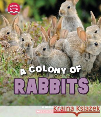 A Colony of Rabbits (Learn About: Animals) Denega, Danielle 9781338853377 C. Press/F. Watts Trade - książka