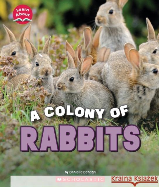 A Colony of Rabbits (Learn About: Animals) Denega, Danielle 9781338853384 C. Press/F. Watts Trade - książka