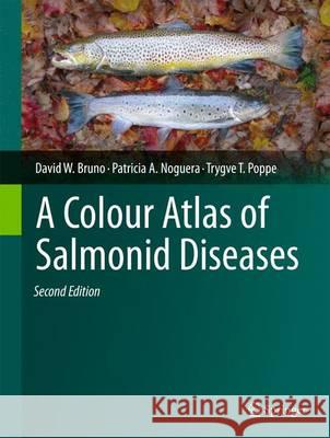 A Colour Atlas of Salmonid Diseases D.W. Bruno Trygve T. Poppe Patricia A. Noguera 9789400720091 Springer - książka