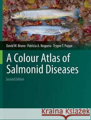 A Colour Atlas of Salmonid Diseases David Bruno Patricia A. Noguera Trygve T. Poppe 9789401778923 Springer - książka