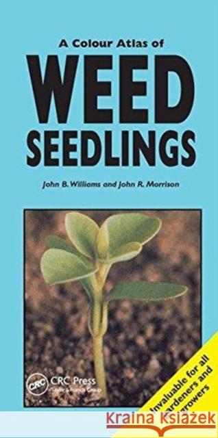 A Colour Atlas of Weed Seedlings John B Williams, John R Morrison 9781138415973 Taylor & Francis Ltd - książka