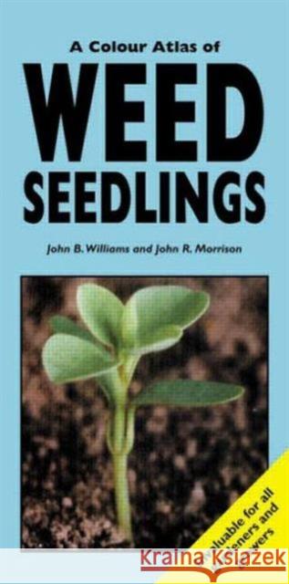 A Colour Atlas of Weed Seedlings J Williams 9781840760385 Manson Publishing Ltd - książka