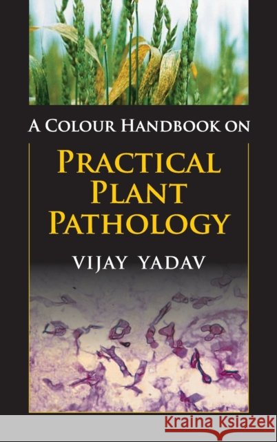 A Colour Handbook on Practical Plant Pathology Vijay Yadav 9789385516177 Nipa - książka